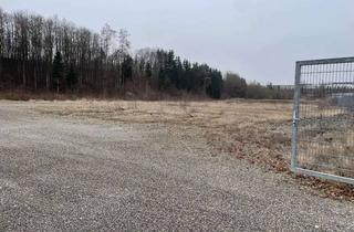 Gewerbeimmobilie mieten in Industriestraße, 88433 Schemmerhofen, Außen-Lagerfläche (8.000 m²), teilbar ab 1.000 m²