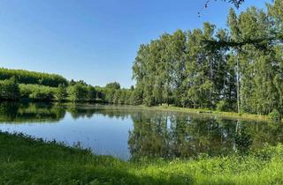 Gewerbeimmobilie kaufen in 95680 Bad Alexandersbad, Weihergrundstück mit kleiner Hütte