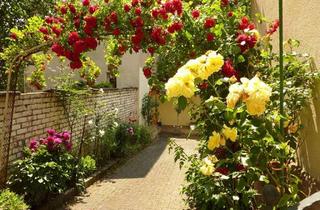 Wohnung mieten in 76534 Lichtental, Altbau-Wohnung mit Charme, B.-Baden-Lichtental, EBK (z. Kauf), Wintergarten, Duschbad, kl. Balkon