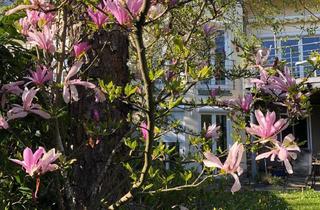 Haus kaufen in 88633 Heiligenberg, DHH mit Atemberaubenden Ausblick mit bezauberndem Gäste Appartement