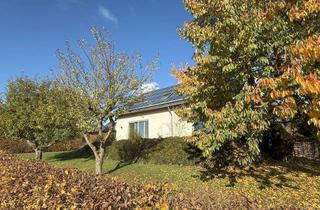 Haus kaufen in 34471 Volkmarsen, Traumhaftes Familienhaus für Wohnen, Arbeit und Freizeit mit 6,5 Zimmern in Volkmarsen