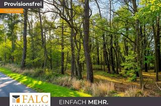 Anlageobjekt in 18230 Biendorf, +++ Waldgrundstück 3 ha mit gutem Baumbestand in Ostseenähe +++