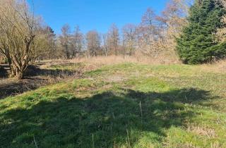 Grundstück zu kaufen in 16230 Chorin, BAULAND im schönen und ruhigen GRÜNTAL - genießen Sie das ländliche Flair und die saubere Luft!