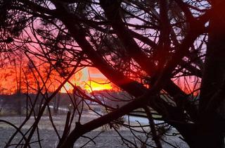 Immobilie mieten in 85283 Wolnzach, DHH-Möbliert/furnished