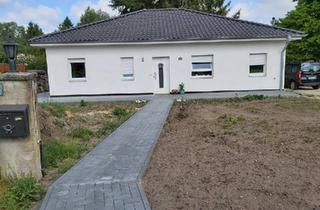 Haus kaufen in 29367 Steinhorst, Steinhorst - Bungalow, 105m2, Bj 2018, mit 4.654 m² Grundstück
