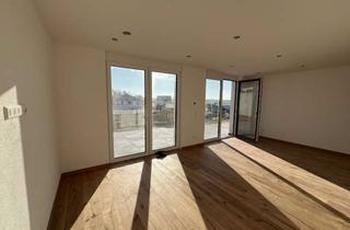 Wohnung mieten in 74722 Buchen, Neue und helle 2-Zimmer-Wohnung in Buchen, Hühnerberg mit Terrasse und Außenstellplatz