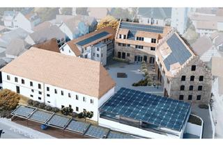 Wohnung mieten in Hauptstraße 44, 75056 Sulzfeld, Erstbezug: Moderne 2,5-Zi.-Wohnung mit Balkon im 1. OG in Sulzfeld