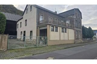 Haus kaufen in 56656 Brohl-Lützing, Wohn- und Gewerbeensemble mit Hallen, Ausbaureserve & Rheinblick
