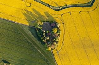 Haus kaufen in Dorfstraße, 17153 Ritzerow, Ländliches Holzhaus / Grundstücksfläche 7.000 m²