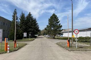Gewerbeimmobilie mieten in Straße Der Befreiung, 15537 Grünheide, Direkt vom Eigentümer: Lagerhallen in Grünheide
