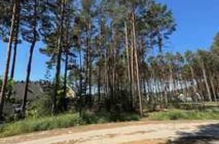 Grundstück zu kaufen in 14822 Borkwalde, 800m2 Bauland für Dein Bauprojekt in Borkwalde ...