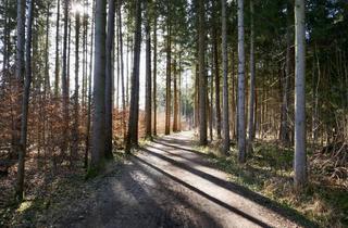 Grundstück zu kaufen in 82131 Gauting, Traumhaftes Baugrundstück am Waldrand – exklusives Wohnen in Gauting