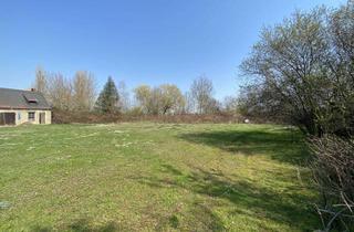 Grundstück zu kaufen in Dorfstraße, 04509 Wiedemar, Bauträgerfreies Grundstück nahe Leipzig mit positiver Bauvoranfrage!