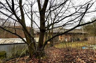 Immobilie kaufen in 06343 Molmerswende, 4.600 m² Grundstück mit ehemaligem Außenstall in Mansfeld-Leinemühle *PROVISIONSFREI*