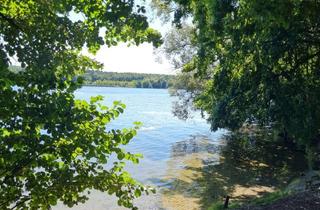 Wohnung kaufen in 15537 Erkner, Gut geschnittene, helle Wohnung mit Südbalkon nahe Flakensee!