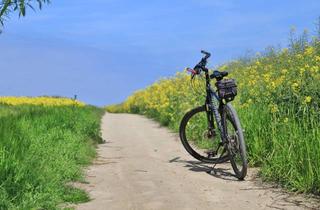 Wohnung mieten in 23948 Klütz, Wo Ruhe zuhause ist – 2-Zimmer-Wohnung im "Landhaus Warnkenhagen" im Klützer Winkel!