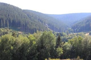 Wohnung mieten in 79822 Titisee-Neustadt, 3-Zimmer-DG-Wohnung in Neustadt