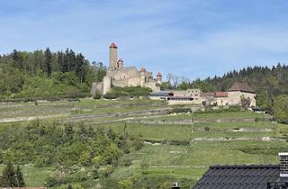Penthouse mieten in 74855 Haßmersheim, Stilvolles 4-Zimmer-PENTHOUSE mit 2 Terrassen, EBK & Stellplatz