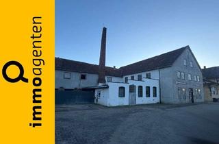 Grundstück zu kaufen in 31812 Bad Pyrmont, Provisionsfreie Reitanlage mit Reithalle auf großem Grundstück – Bauland mit Entwicklungspotenzial