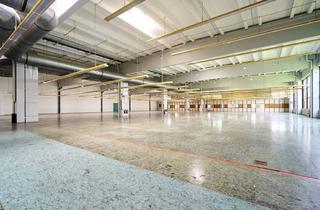 Büro zu mieten in 86159 Augsburg, Attraktive alleinstehende Büroflächen in ruhiger zentraler Lage