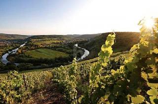 Grundstück zu kaufen in 54459 Wiltingen, EXKLUSIVE UND SONNIGE LAGE MIT WEINBERG-AUSSICHT