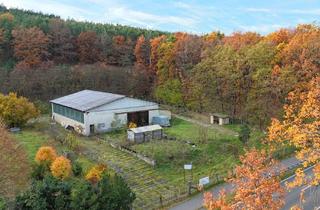 Gewerbeimmobilie kaufen in 14806 Bad Belzig, Großes Grundstück, große Halle und vielseitige Nutzungsmöglichkeiten