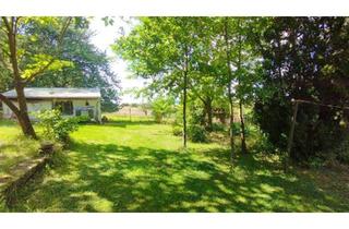 Einfamilienhaus kaufen in 06628 Lanitz-Hassel-Tal, Lanitz-Hassel-Tal - Einfamilienhaus kaufen, Ferienhaus kaufen ruhige Lage