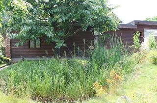 Haus kaufen in 16278 Angermünde, Angermünde - Verkaufe Haus in Stolpe Uckermark