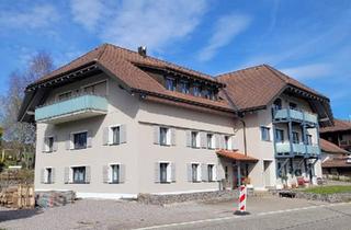 Haus kaufen in 79736 Rickenbach, Rickenbach - 9-Familienhaus in 79736 Rickenbach - Kapitalanlage