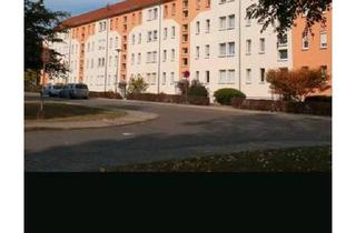 Mehrfamilienhaus kaufen in 04565 Regis-Breitingen, Regis-Breitingen - Charmante 1-Zimmer-Wohnung in Regis-Breitingen