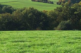 Villa kaufen in 53567 Buchholz, Bauhausvilla mit traumhafter Aussicht ins Siebengebirge in herrlicher Randlage! 20 Min BN / SU