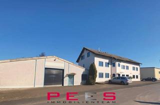 Gewerbeimmobilie kaufen in 53567 Buchholz, Hallen mit gr. Bürohaus + Wohnung + Lager an der Landesgrenze in RLP zu NRW. Nähe Henne