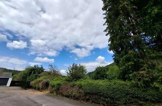 Grundstück zu kaufen in 67661 Mölschbach, Baugrundstück von privat zu verkaufen