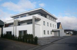 Wohnung mieten in Brausbelsweg, 56237 Nauort, Moderne 2-Zimmer EG Wohnung mit Terrasse in Nauort