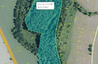 Immobilie kaufen in Ziegeleiweg, 04838 Jesewitz, 125.660 qm Waldgrundstück bei Leipzig / Wald - Forst - Privatwald - Waldfläche