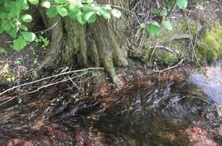 Grundstück zu kaufen in 85084 Winden am Aign, Winden a. Aign - Weiher Wald oder Ausgleichsfläche