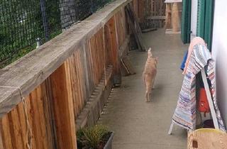 Haus kaufen in 85410 Haag, Haag an der Amper - Zweifamilienhaus, Grund 850qm