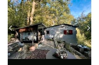 Haus kaufen in 74613 Öhringen, Öhringen - Waldhaus, TinyHaus, Wochenend Ferienhaus, kein fester Wohnsitz