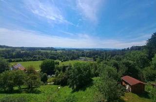 Penthouse mieten in Schomburg, 88239 Wangen, Hochwertige Dachgeschosswohnung mit Penthouse-Charakter und freiem Alpenblick