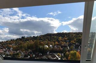 Wohnung mieten in 70329 Hedelfingen, Luxuswohnung auf Zeit an Einzelperson zu vermieten