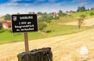 Grundstück zu kaufen in 64807 Dieburg, Großes Baugrundstück in Dieburg!