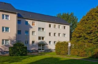 Wohnung mieten in Lindenweg 34, 33014 Bad Driburg, Demnächst frei! 3-Zimmer-Wohnung in Bad Driburg