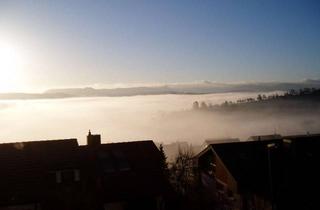 Wohnung mieten in 72669 Unterensingen, Attraktive 3,5-Zimmer Terrassenwohnung in Unterensingen mit Balkon