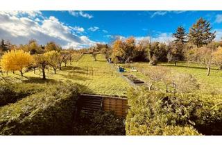 Wohnung mieten in 79110 Lehen, Möblierte 1-Zimmer-Wohnung mit Balkon & Grünblick am Lehnerberg in Freiburg-Lehen