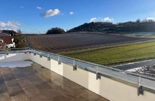 Penthouse mieten in 74223 Flein, Traumhafter Ausblick in Flein