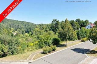 Grundstück zu kaufen in 91235 Velden, Attraktives Hanggrundstück in Velden