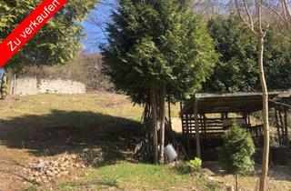 Grundstück zu kaufen in 92280 Kastl, Schönes Hanggrundstück in sonniger Lage – voll erschlossen