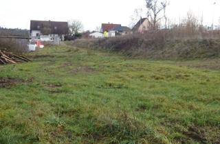 Grundstück zu kaufen in Leite, 96482 Ahorn, großzügig, gestaltungsoffenes Baugrundstück Leite 8