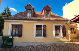 Einfamilienhaus kaufen in 04668 Grimma, Grimma - Charmantes Einfamilienhaus am Marktplatz in Grimma
