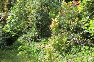 Wohnung kaufen in 88250 Weingarten, Weingarten - 2,5 Z-Whg EG angrenzend an Naherholungsgebiet